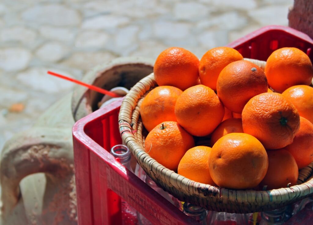Oranges in Tunisian Oasis